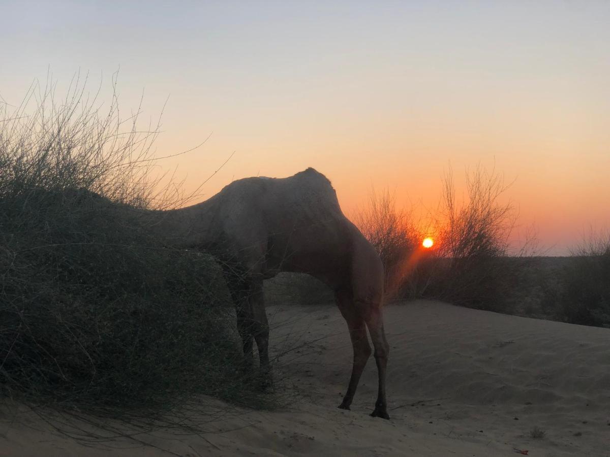 ג'איסלמר Hostel Desert Home Stay מראה חיצוני תמונה